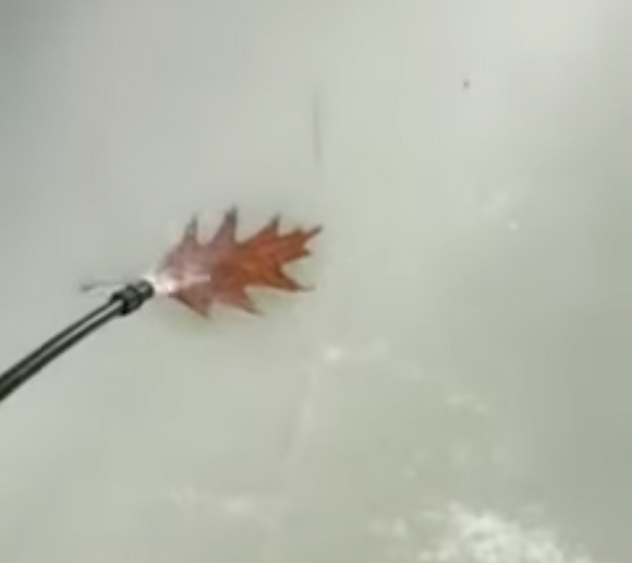 Remove Leaf from Ice - Tips and Tricks