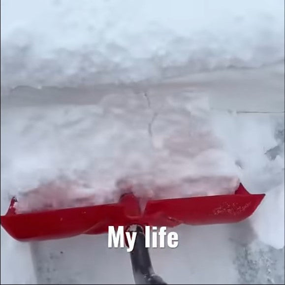 Backyard Rink Owners vs. Snow!